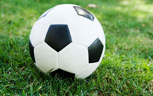 Početak priprema fudbalera “Slavije” odložen za 3. februar