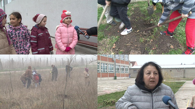 Nove sadnice dobila i osnovna škola u Debeljači
