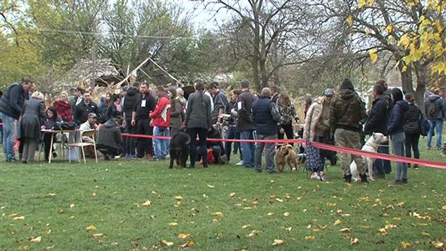 Jubilarna izložba pasa u Debeljači okupila veliki broj učesnika